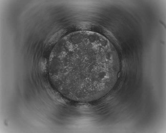 X0000102400073200808221857