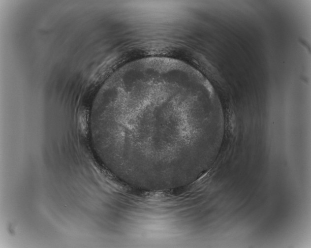 X0000102400074200808221857