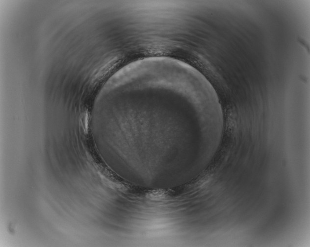 X0000102400076200808221857