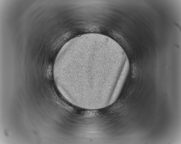 X0000102400077200808221857
