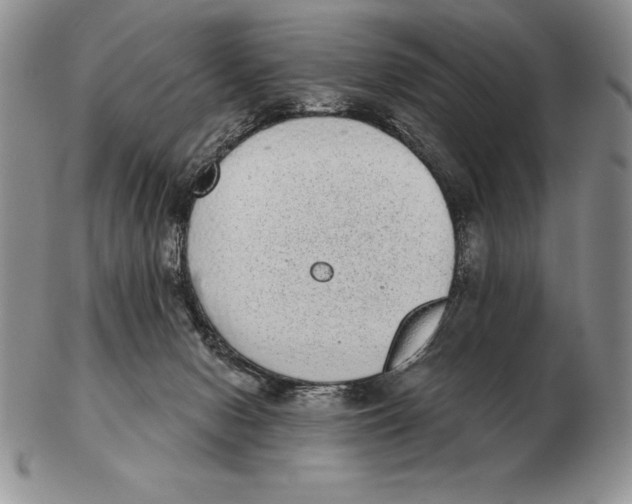 X0000102400078200808221857
