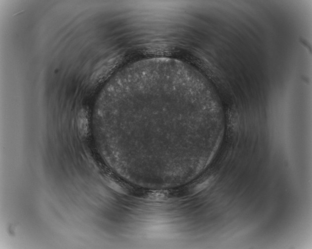 X0000102400080200808221857