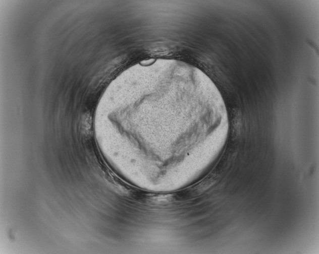 X0000102400081200808221857