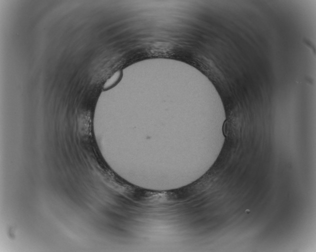 X0000102400083200808221857