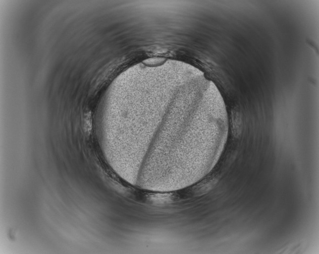 X0000102400085200808221857