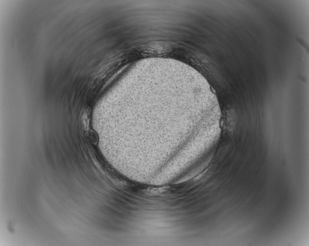 X0000102400086200808221857