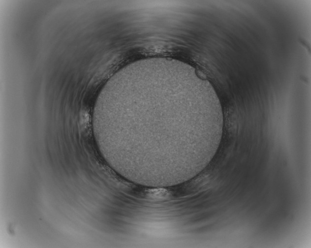 X0000102400087200808221857
