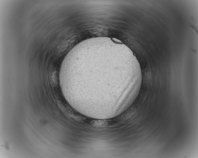 X0000102400088200808221857