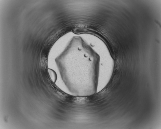 X0000102400093200808221858