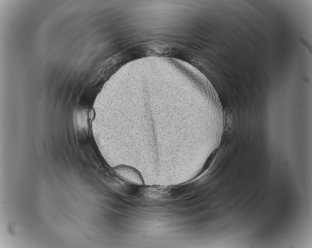 X0000102400094200808221858