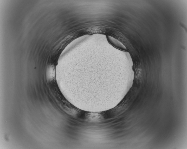 X0000102400095200808221858