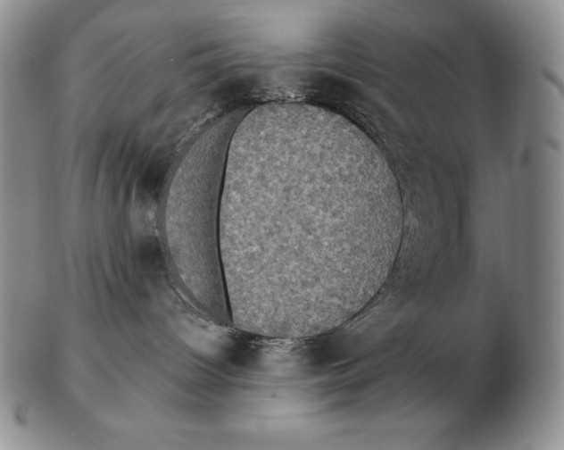 X0000102400096200808221858