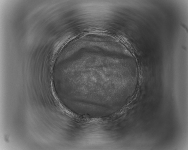 X0000102400097200808221857