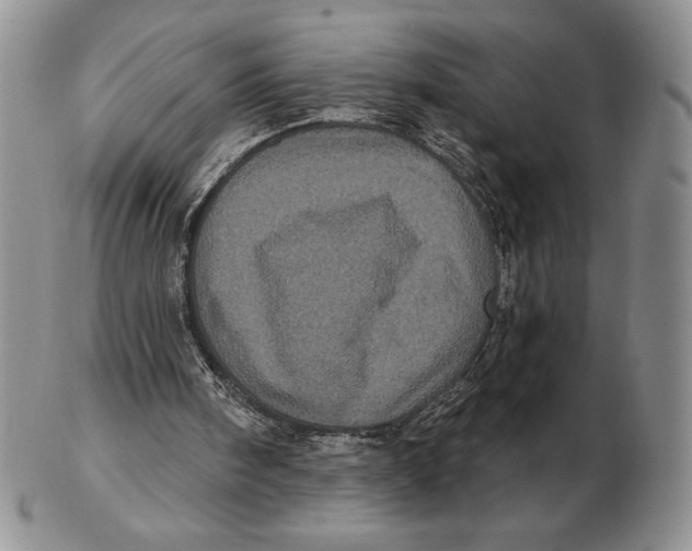 X0000102400098200808221857