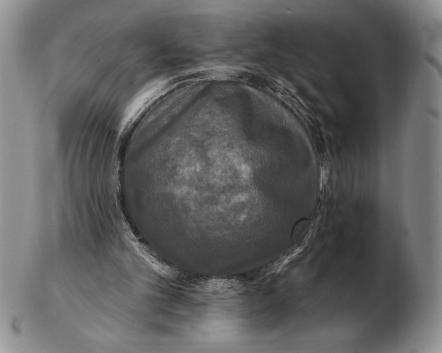 X0000102400101200808221857