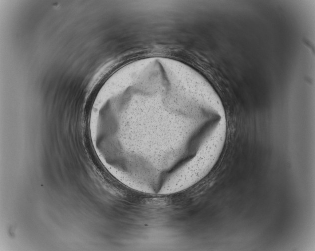 X0000102400102200808221857