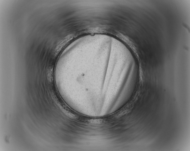 X0000102400105200808221857