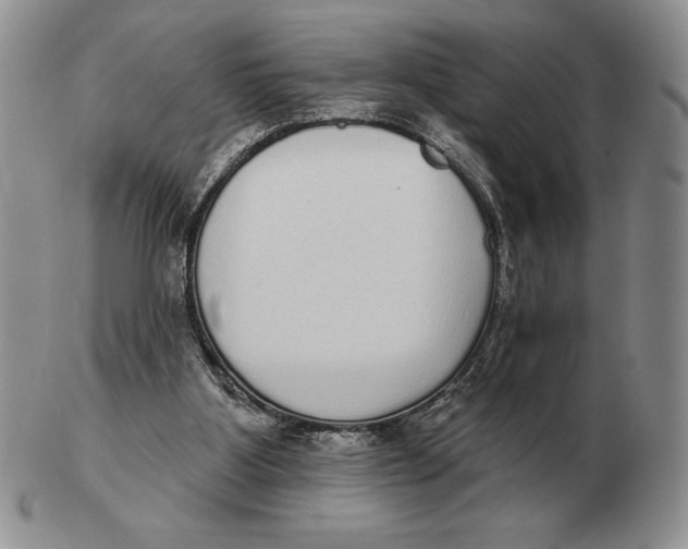 X0000102400107200808221857
