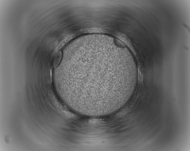 X0000102400109200808221857