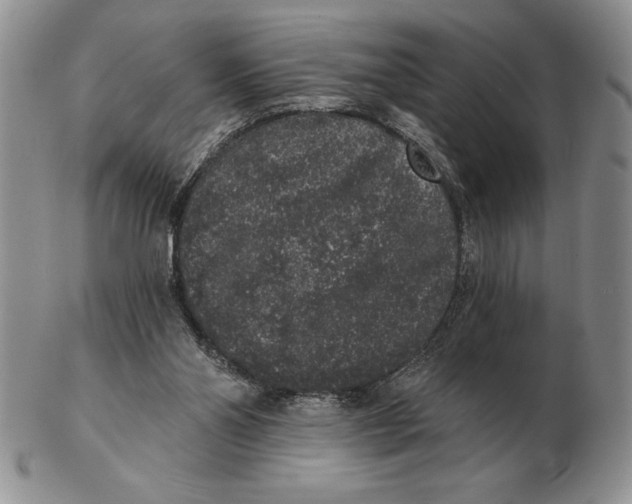 X0000102400110200808221857