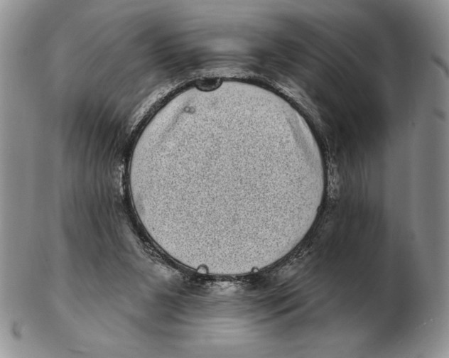 X0000102400111200808221857