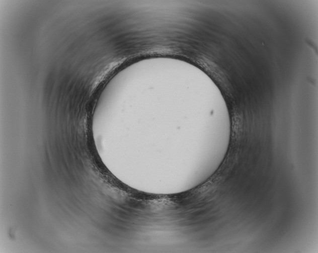 X0000102400112200808221857