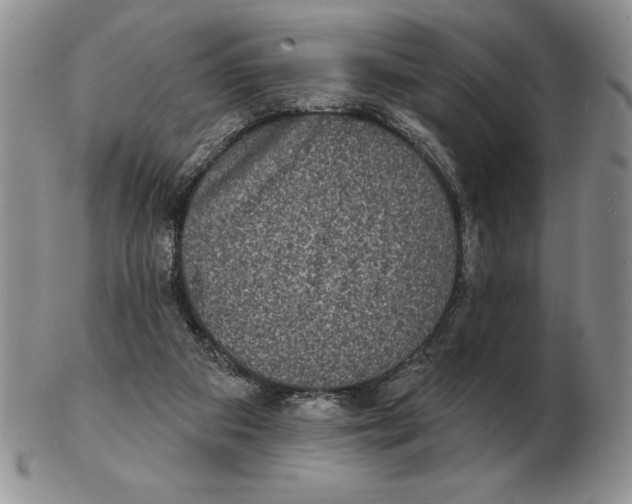 X0000102400113200808221856