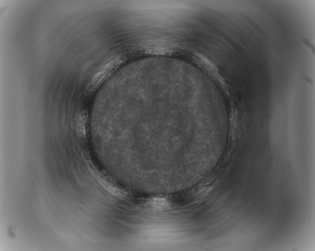X0000102400114200808221856