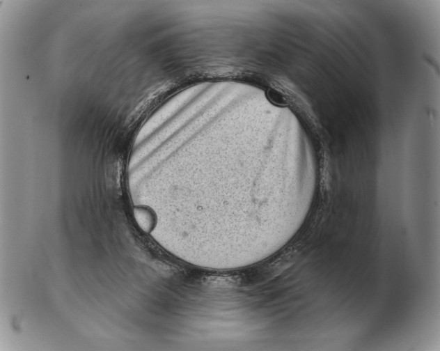 X0000102400115200808221856