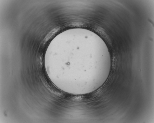 X0000102400116200808221856