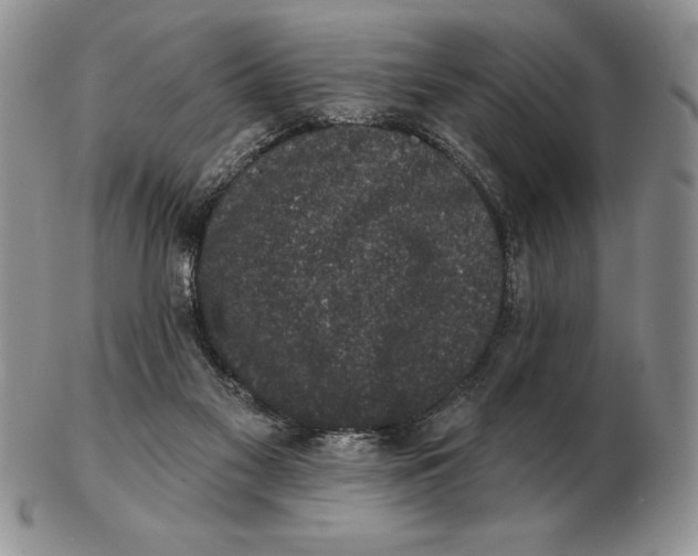 X0000102400117200808221856