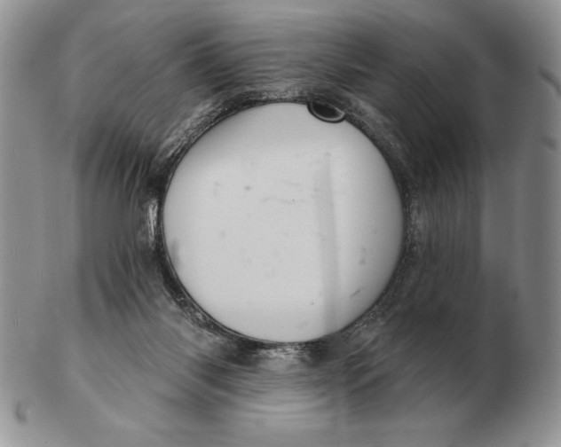 X0000102400118200808221856