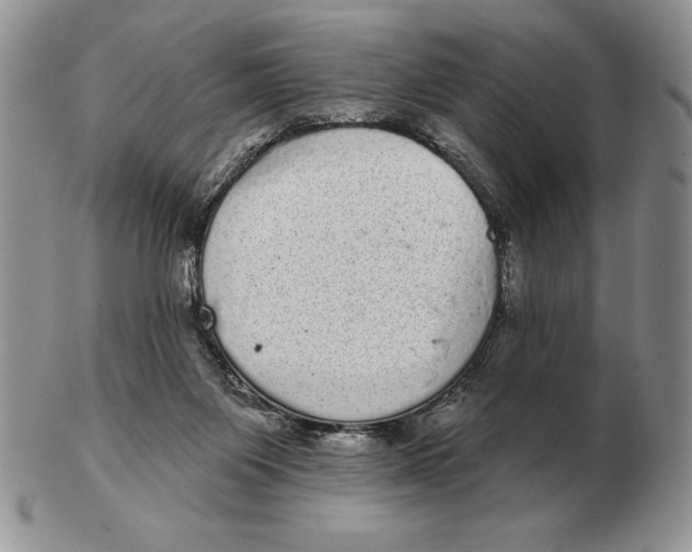 X0000102400119200808221856