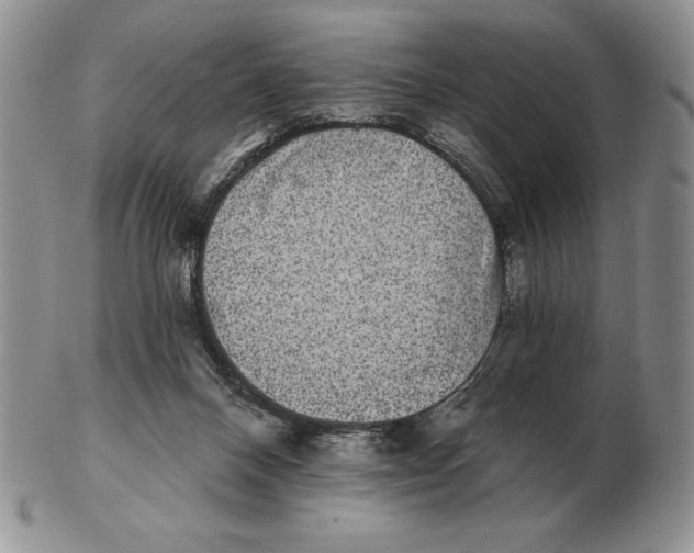 X0000102400120200808221856