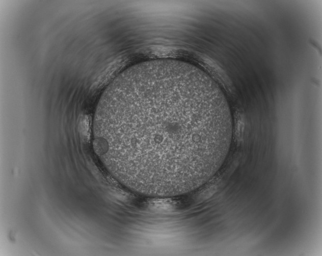 X0000102400121200808221856