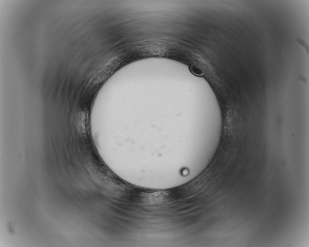 X0000102400122200808221856