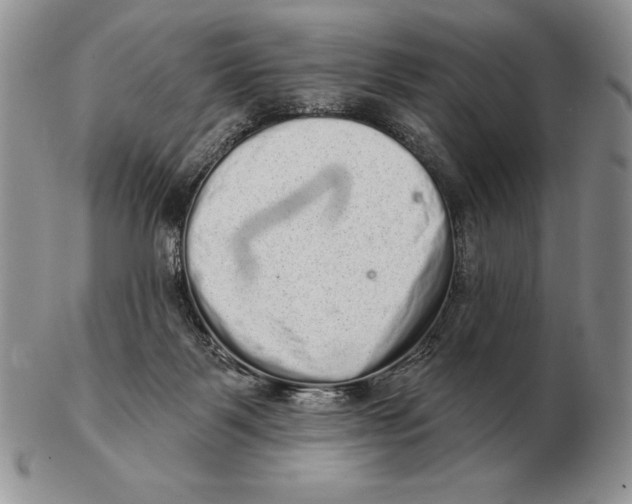 X0000102400123200808221856