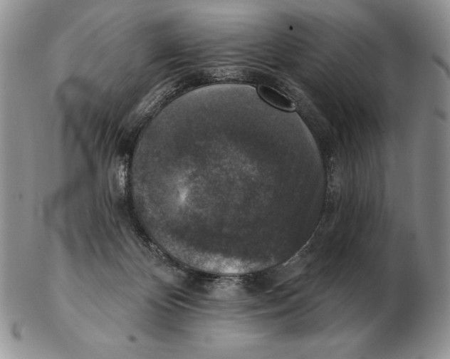 X0000102400124200808221856