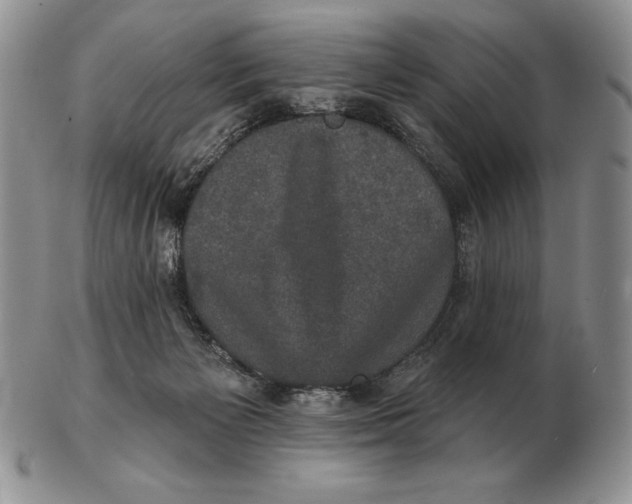 X0000102400125200808221856