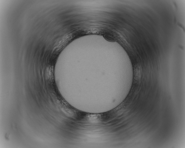 X0000102400126200808221856