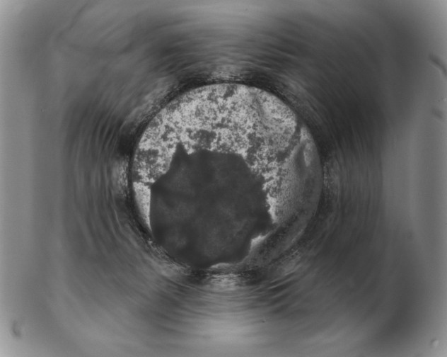 X0000102400127200808221856