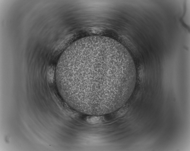 X0000102400129200808221856