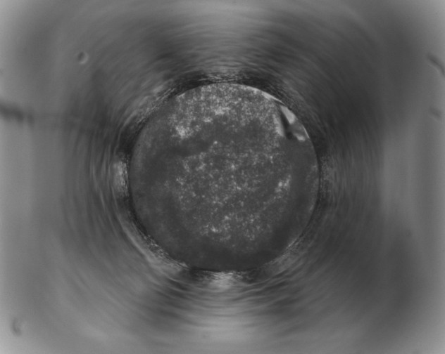 X0000102400130200808221856