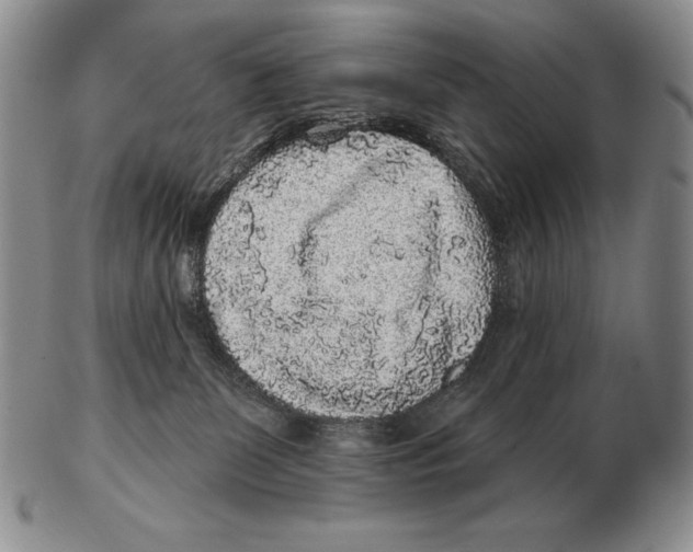 X0000102400131200808221856