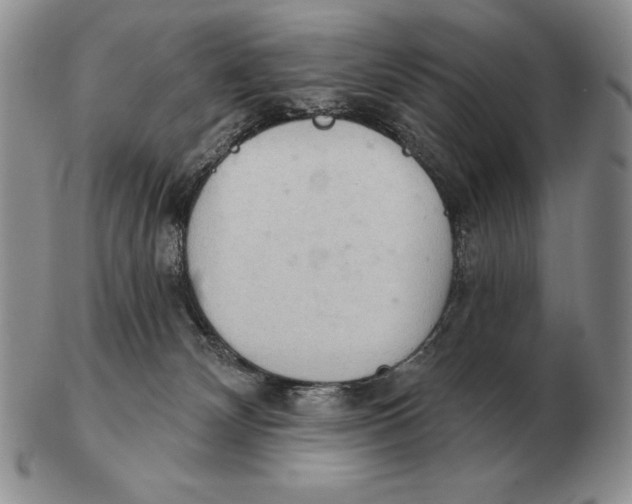 X0000102400132200808221856