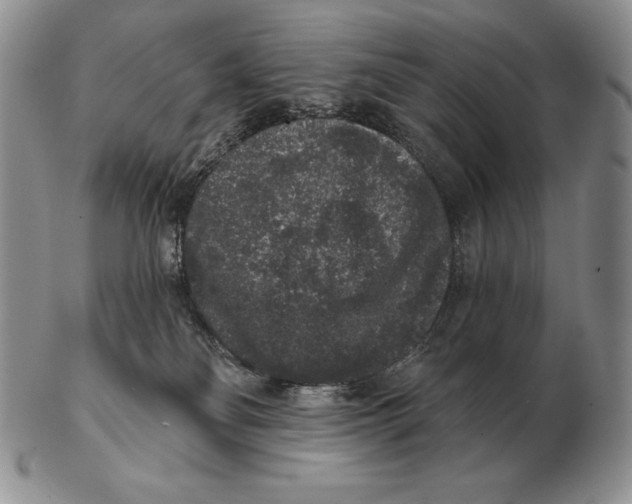 X0000102400134200808221856