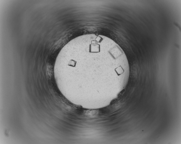 X0000102400135200808221856
