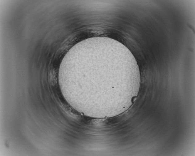 X0000102400136200808221856