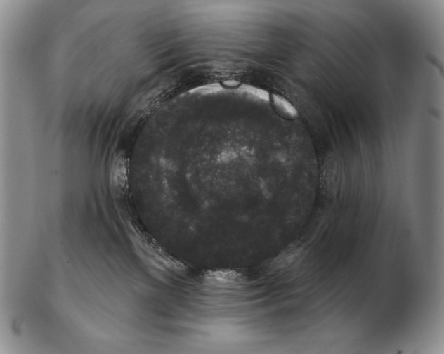 X0000102400137200808221856