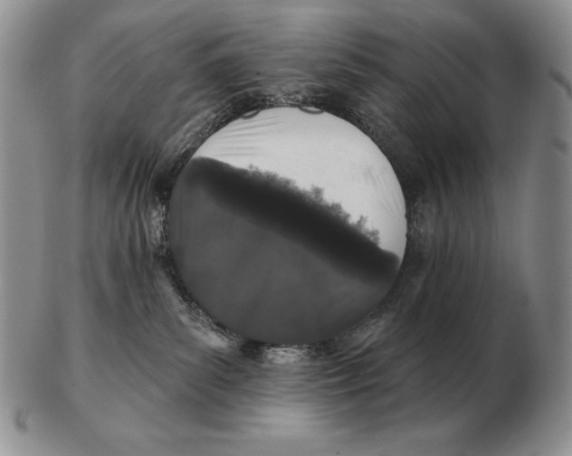 X0000102400139200808221856